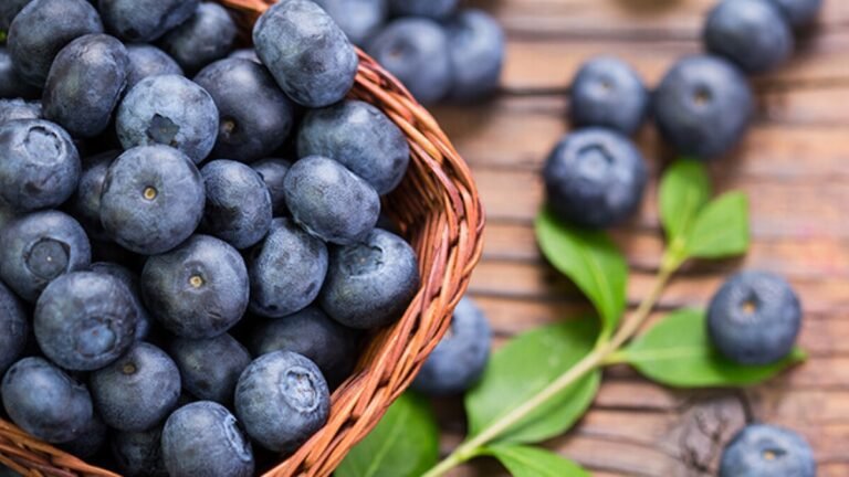 Health Benefits of Blue Berries