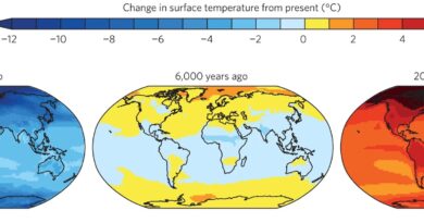 Predictions of Future Global Climate