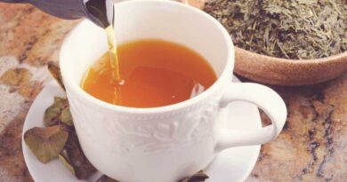 All Need To Know About Green Tea