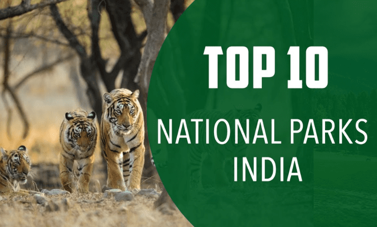 National Parks To Visit In India