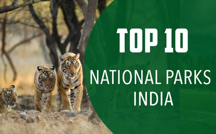 National Parks To Visit In India