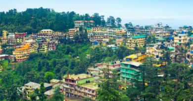 7 Reasons Why We Keep Going Back to Mcleodganj