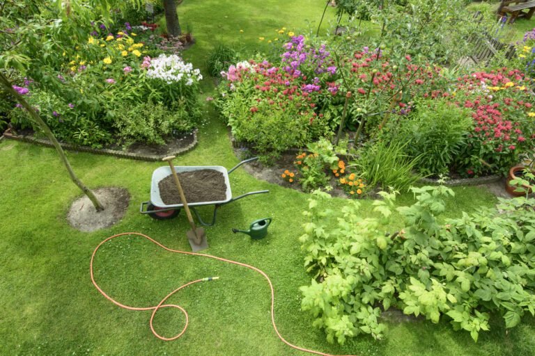 7 Brilliant Ways to Create an Eco-Friendly Garden
